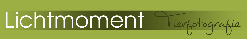 lichtmoment